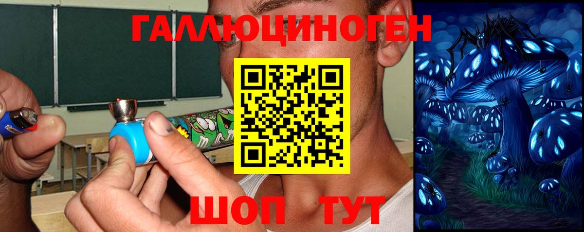 Галлюциногенные грибы мицелий  Псилоцибиновые грибы Psilocybe  Тихорецк  закладки  Вход с VPN 