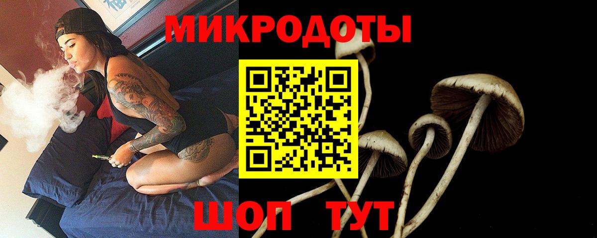 Галлюциногенные грибы GOLDEN TEACHER Тихорецк